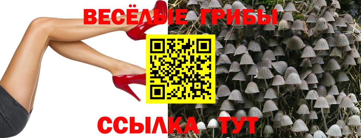 Кулебаки  Псилоцибиновые грибы мицелий  что такое   Псилоцибиновые грибы Magic Shrooms  Вход с VPN 